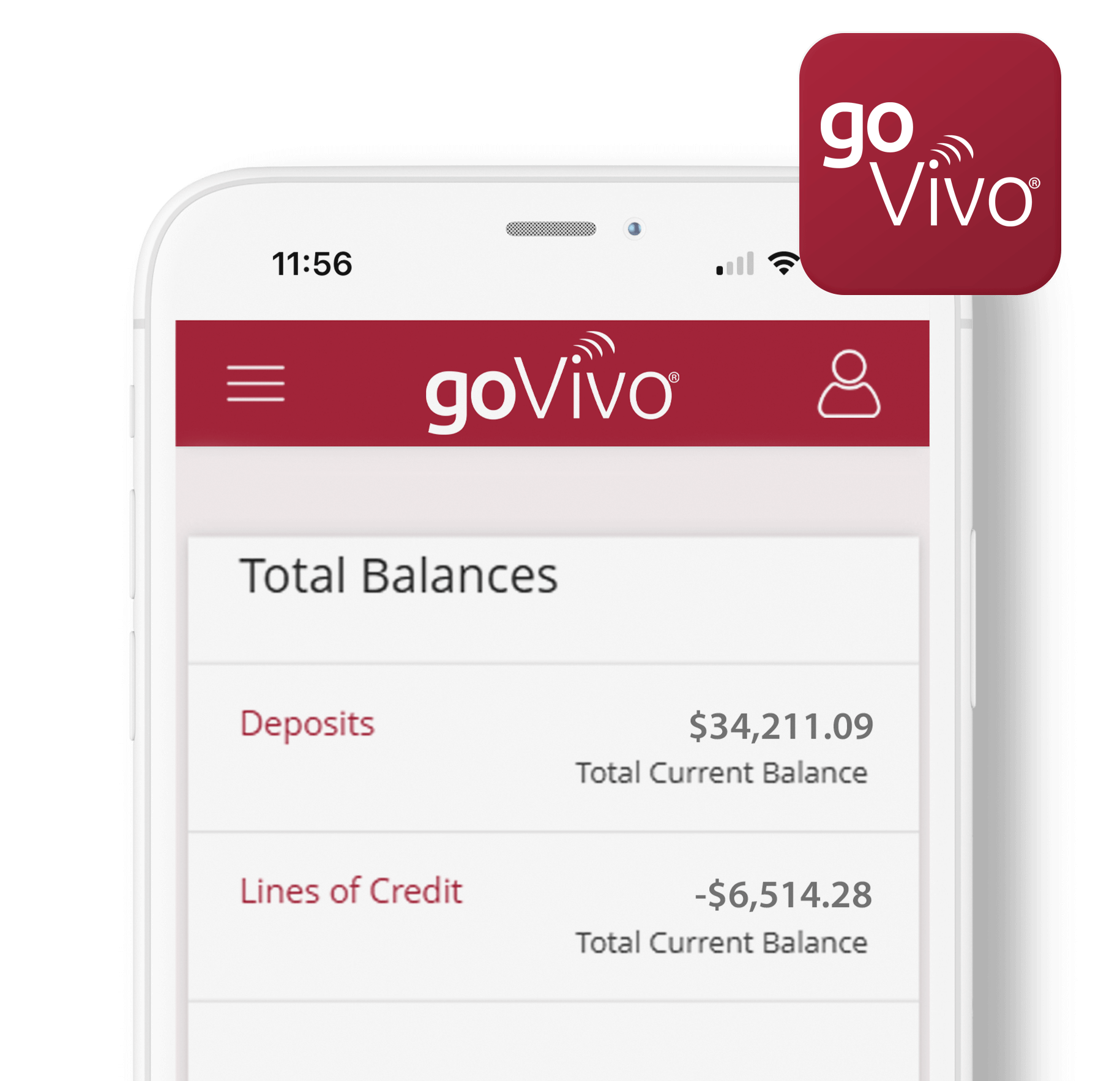 GoVivo App Mockup
